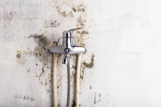 Water Damage Restoration in Lynn, IN